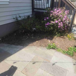 Cleanups by TOLT LANDSCAPE reviewed on August 5, 2022