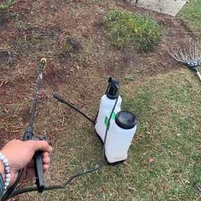 Flower Bed Weeding by R&A landscaping reviewed on July 8, 2022