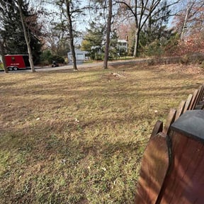 Leaf Removal by Diego Mojica Lawn Care reviewed on November 24, 2021