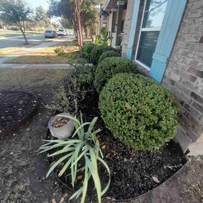 Bush Trimming by LSLTAustin/SanAntonioEmerald reviewed on May 21, 2025