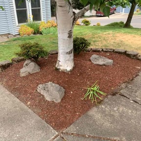 Cleanups by RMZ Landscape Services LLC reviewed on May 15, 2025