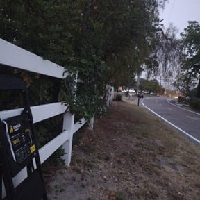 Bush Trimming by TKM reviewed on April 13, 2025