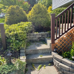 Bush Trimming by Greener lawns reviewed on April 30, 2022