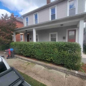 Bush Trimming by Kingsmen Landscaping reviewed on June 28, 2025