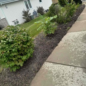 Flower Bed Weeding by De-mo mowing reviewed on July 22, 2025