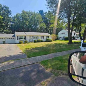 Bush Trimming by Davis Designs LLC/ Lawn Care Division reviewed on August 3, 2022