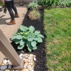 Flower Bed Weeding by Charles Ray lawn mowing reviewed on June 15, 2022