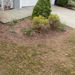 Leaf Removal by Above and Beyond Lawncare reviewed on August 23, 2021