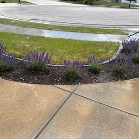 Cleanups by UNCLECURTS LLC reviewed on June 25, 2022