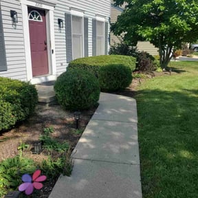 Bush Trimming by Platinum Property preservations reviewed on July 17, 2022