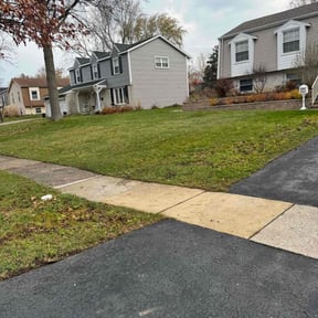 Leaf Removal by Cortez Landscaping reviewed on June 5, 2025