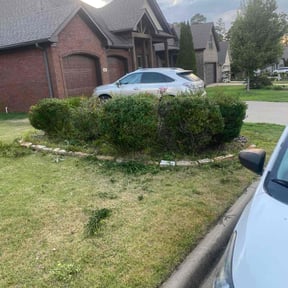 Bush Trimming by Ross and tree landscaping reviewed on December 29, 2024
