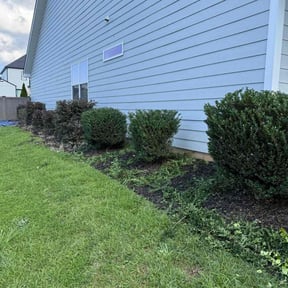 Bush Trimming by Limelight Lawns LLC reviewed on January 11, 2025