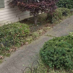 Bush Trimming by Lawn Care Co. reviewed on February 2, 2022