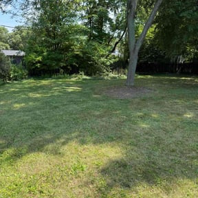 Leaf Removal by Tefel rivera reviewed on April 13, 2025