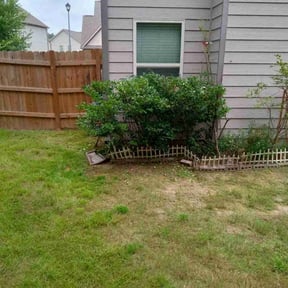 Bush Trimming by Court Landscaping reviewed on December 14, 2024