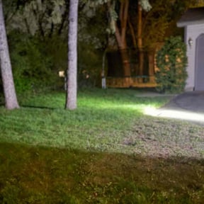 Leaf Removal by Task Masters Commercial Services reviewed on May 11, 2022
