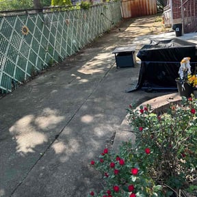 Leaf Removal by Lawn In Order reviewed on July 29, 2022