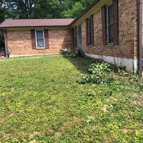 Flower Bed Weeding by Cutter's reviewed on November 10, 2022