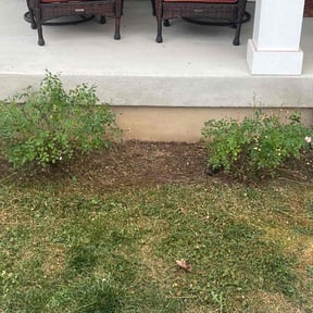 Flower Bed Weeding by Unlimited Lawn & Maintenance Services reviewed on May 3, 2022