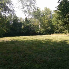 Leaf Removal by Steve's Lawn Care reviewed on May 21, 2025