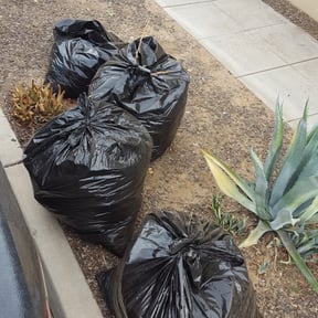 Bush Trimming by Up Cut Lawn Care reviewed on June 1, 2022