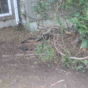 Leaf Removal by Allen Investments reviewed on March 22, 2022