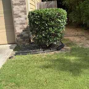 Bush Trimming by C & I reviewed on May 28, 2022