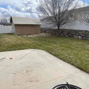 Leaf Removal by Miguel’s lawns reviewed on June 1, 2022