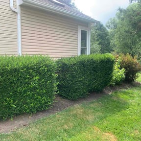 Flower Bed Weeding by 5280 Lawn Care reviewed on June 22, 2022
