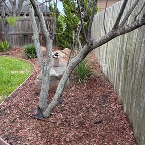 Flower Bed Weeding by Band of Blades reviewed on July 9, 2025