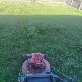Flower Bed Weeding by Livery Services LTD, llc reviewed on June 2, 2022