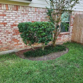 Bush Trimming by Dellers lawn care and repair reviewed on May 31, 2020