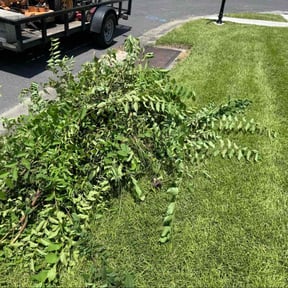 Flower Bed Weeding by Greg's Landscaping reviewed on April 4, 2025