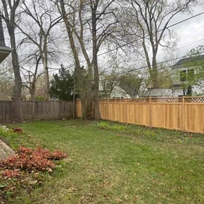 Leaf Removal by Brooks Blade Service reviewed on May 17, 2022