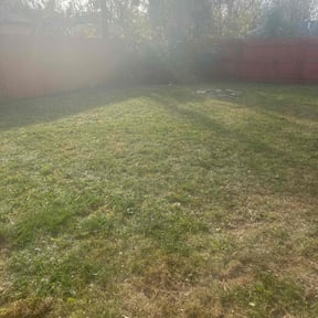 Leaf Removal by RJ's Lawn Care reviewed on May 22, 2022