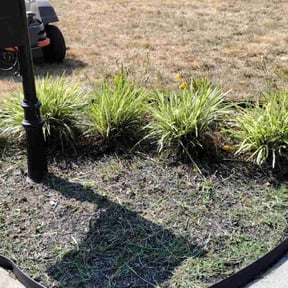 Flower Bed Weeding by Jeri Cleaning Services reviewed on August 18, 2024