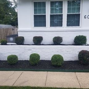 Bush Trimming by GET Tax Service reviewed on August 27, 2021