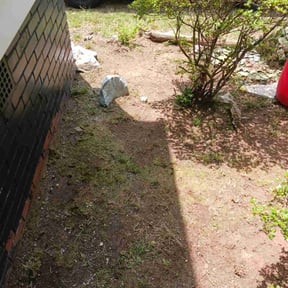 Leaf Removal by R and L services reviewed on June 12, 2019