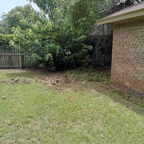Cleanups by Oklahoma's Best Lawn Care reviewed on July 15, 2022