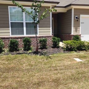 Bush Trimming by Sunny Carolina lawncare services llc reviewed on August 6, 2022