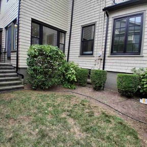 Bush Trimming by Bestway Lawn Care reviewed on April 1, 2022