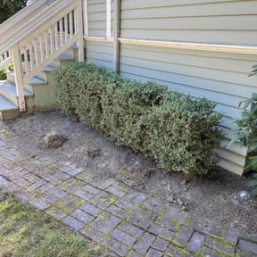 Cleanups by Chewys Landscaping reviewed on November 21, 2024