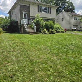 Cleanups by Major green lawn care services reviewed on July 25, 2022