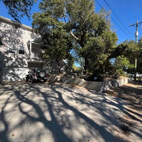 Bush Trimming by Lawn Concierge Services or LCS reviewed on April 23, 2025