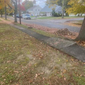 Leaf Removal by Var Landscape reviewed on June 24, 2022