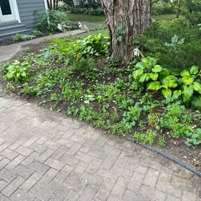 Flower Bed Weeding by Manuel's Landscaping reviewed on June 1, 2022