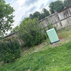 Bush Trimming by martinovich &amp; sons reviewed on June 5, 2022