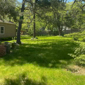 Leaf Removal by Enclave Landscape Management reviewed on April 14, 2022