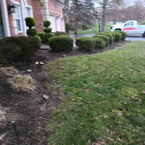 Bush Trimming by FLA Mowers LLC reviewed on April 2, 2022